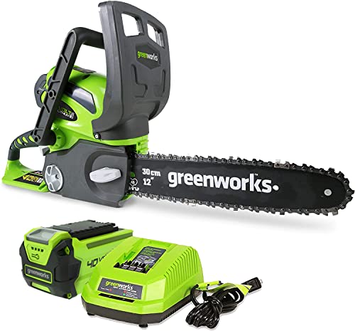 Greenworks Cordless Chainsaw